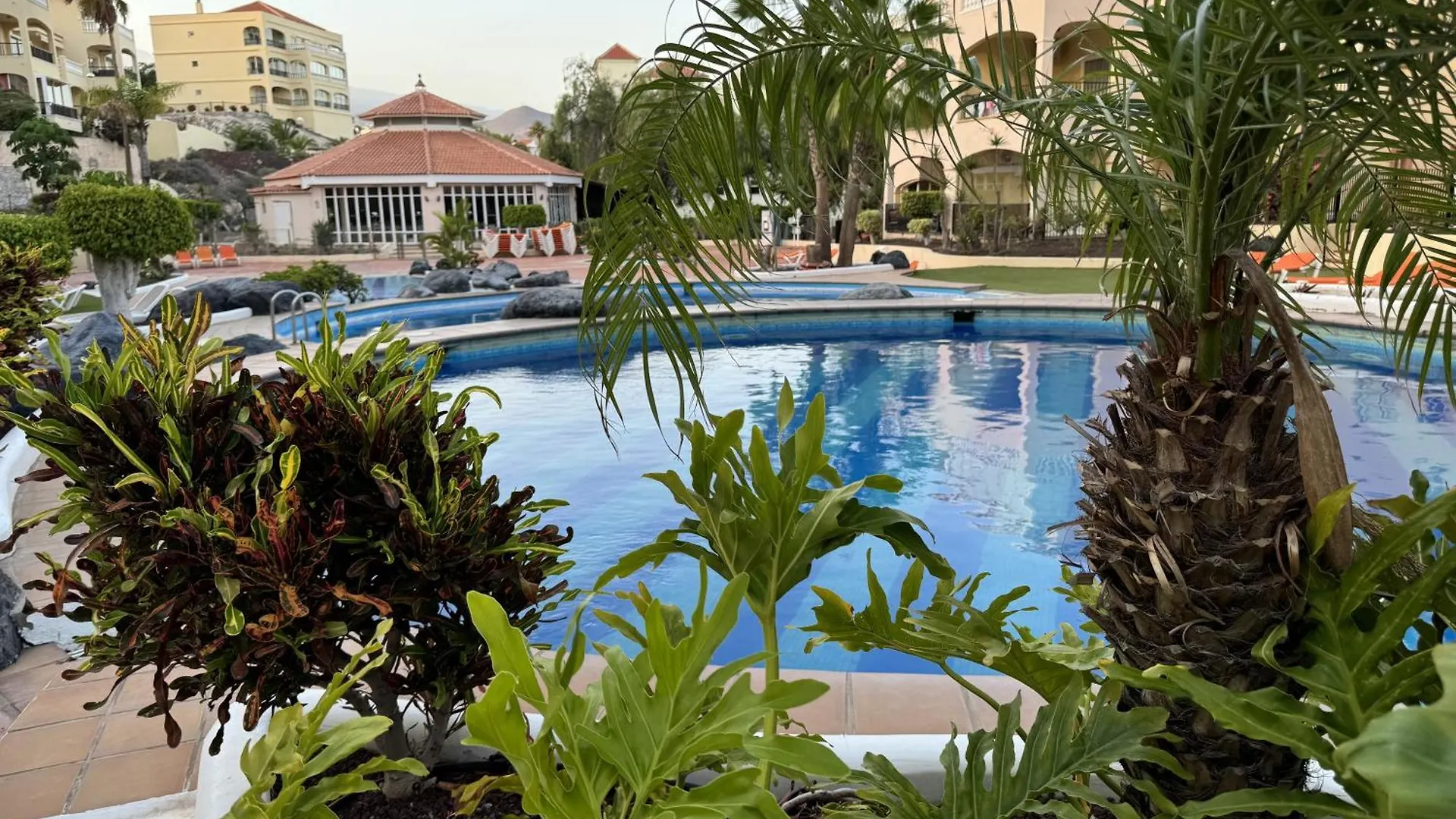 Apartamento En Golf Del Sur Con Piscina San Miguel de Abona